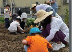 无锡希望农场传播种子的
