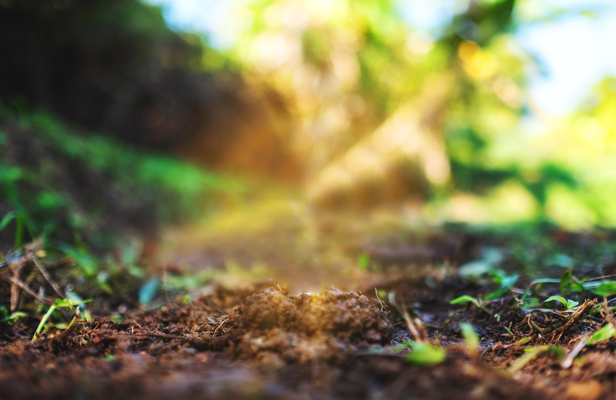 我们的业务和资源